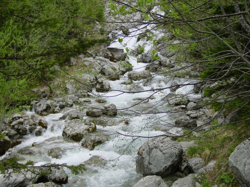 stream nature rocks