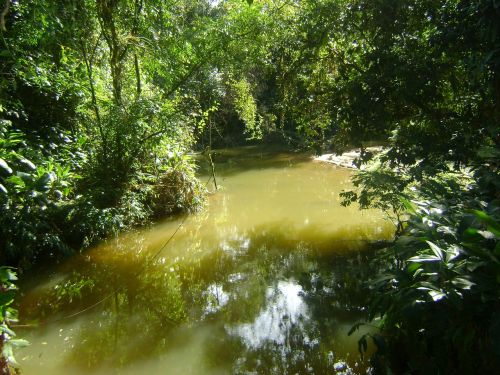 stream ribeiro water