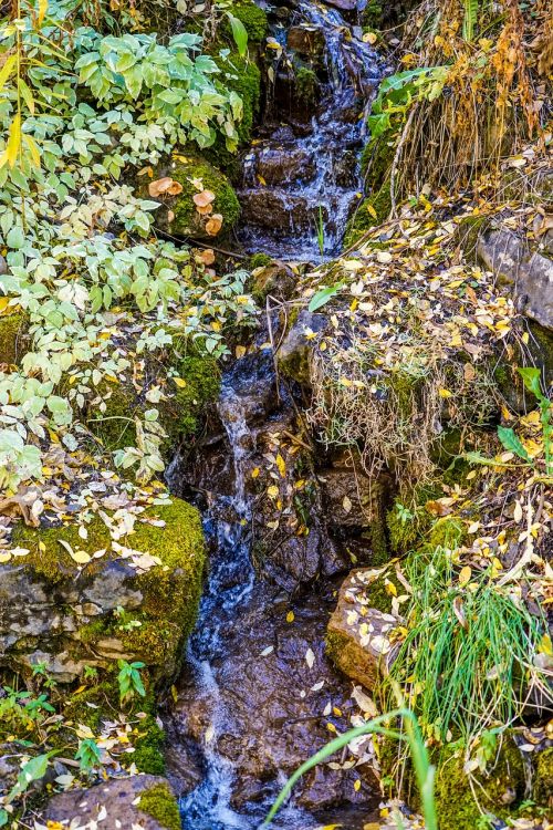 stream rocks nature