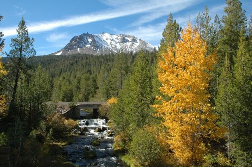 stream scenic autumn