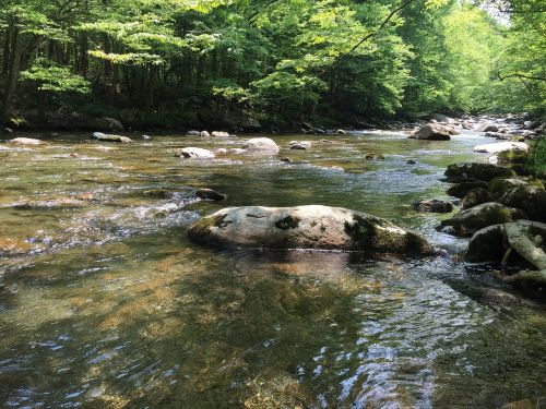 stream river nature