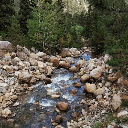 stream brook rocks