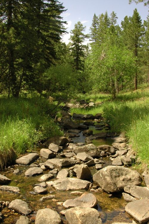 stream brook mountains