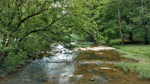 stream rocks trees