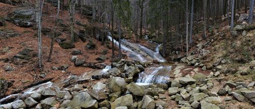 stream jizera mountains water