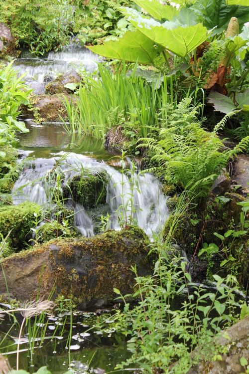 stream burn waterfall