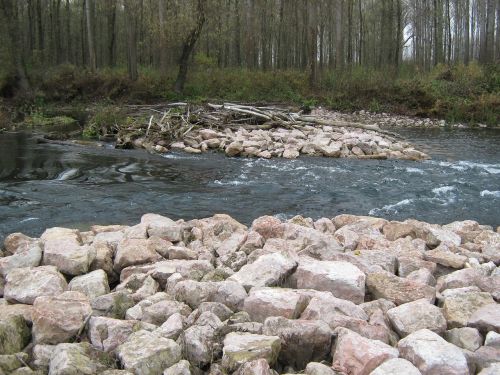 stream danube river