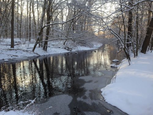 stream river nature