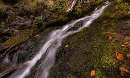 stream water green