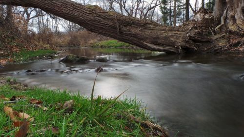 stream water river