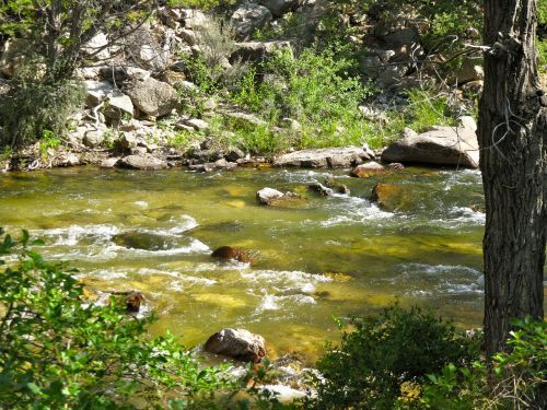 stream creek flowing