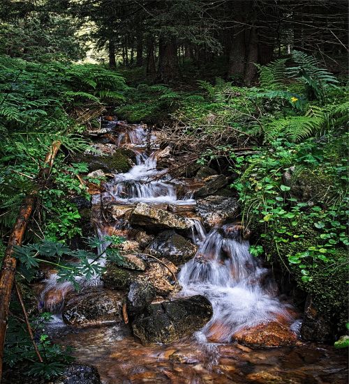 stream tatry water