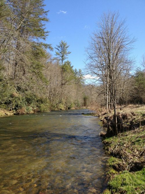 stream river trees