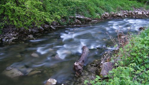 stream nature water