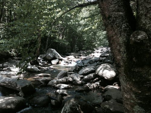 stream hike outdoors