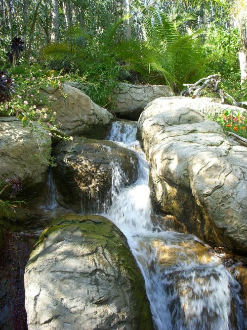stream wilderness water
