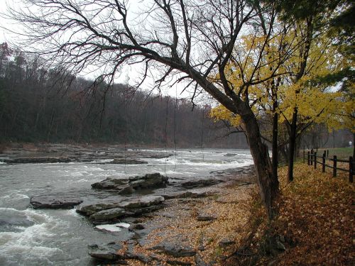 stream river nature