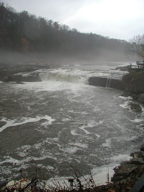 stream river nature