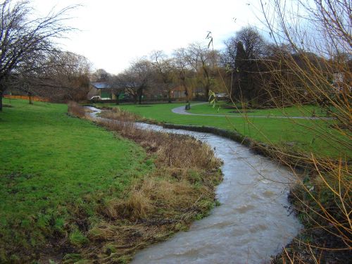 stream water nature