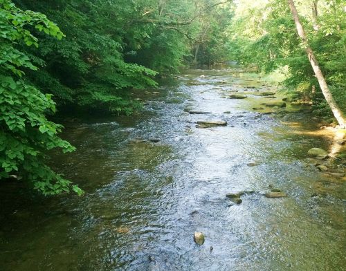 stream nature calm