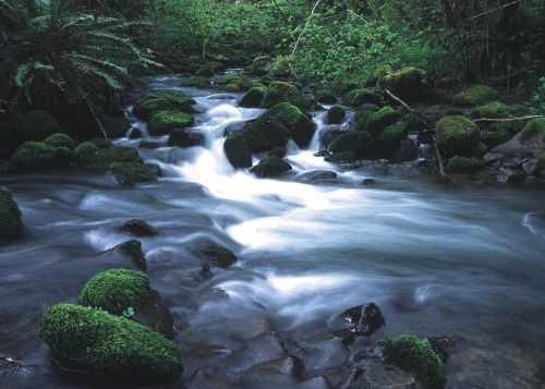 stream wilderness water