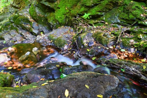 stream water nature