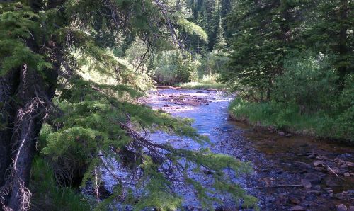 stream water waterfall