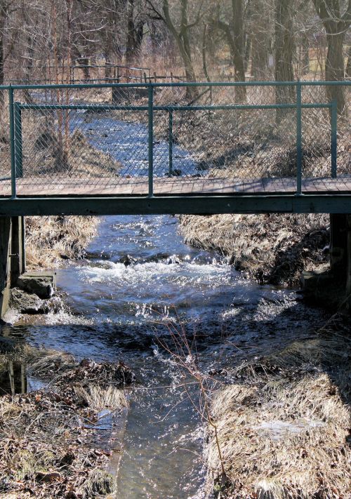 Stream In A Public Park