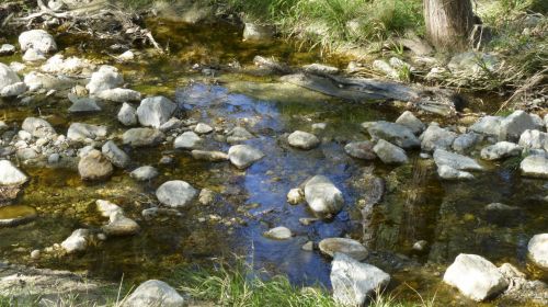 Stream In The Park