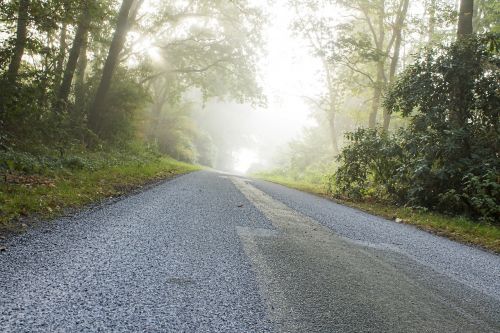 landscape fog road