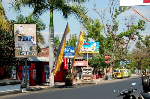 street bali travel