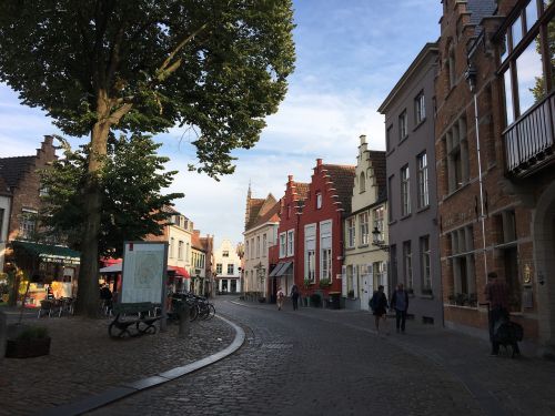 street building tree