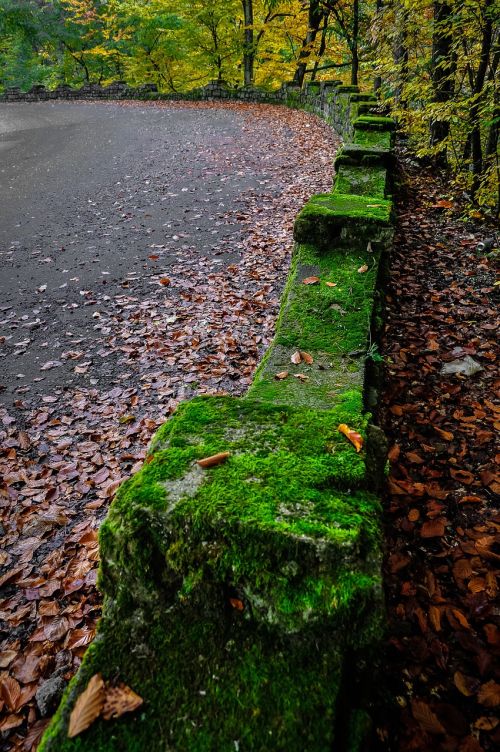 street outdoor road