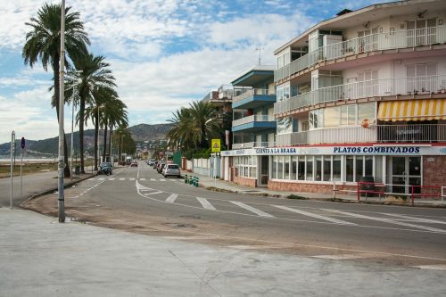 street palm trees architecture