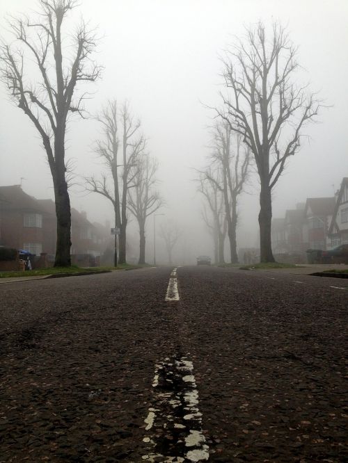 street road foggy