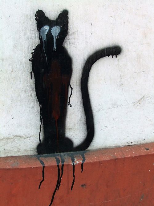 street art graffiti cat