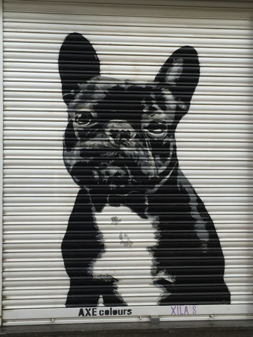 street art dog sad