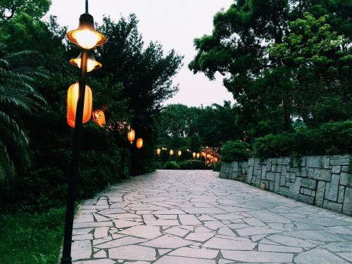 street lamp street view at dusk