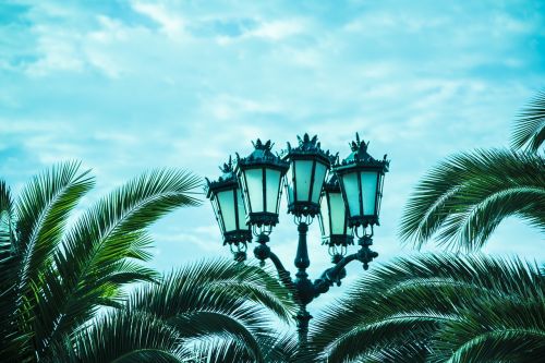 street lamp palm tree sky