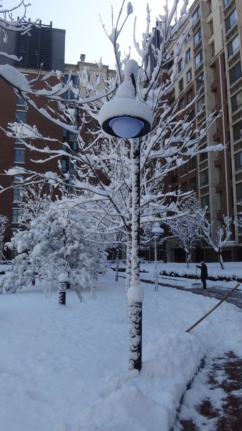 street lamp community snow