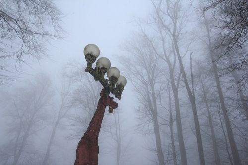 street lights deer fog