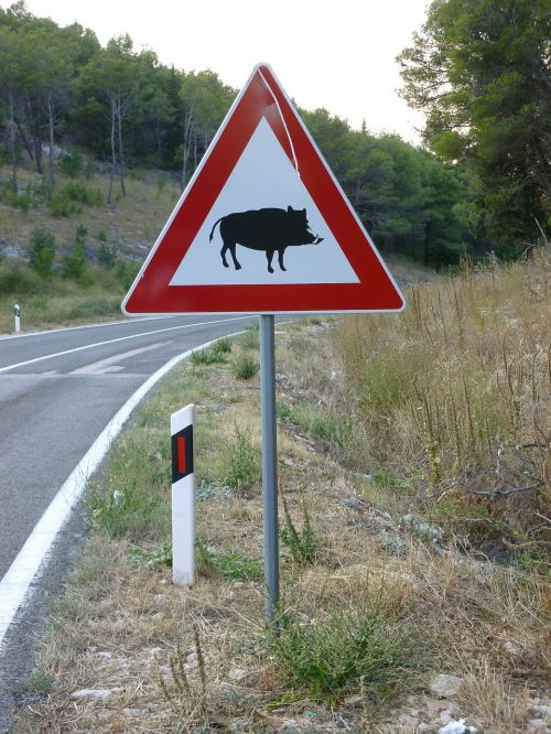 street sign wild boar road