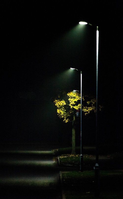 streetlight  mist  road light