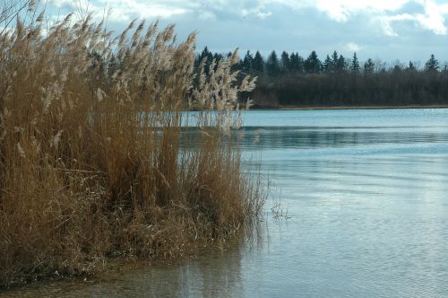 stretch lake badesee