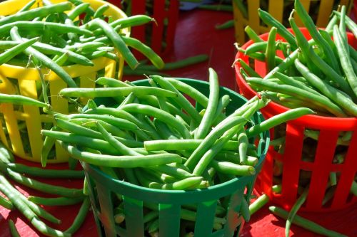 string beans for sale market