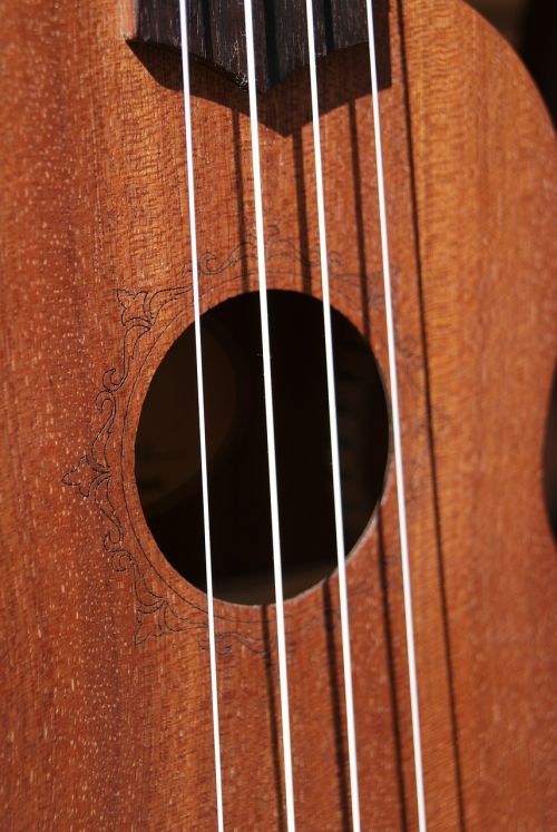 strings ukulele music