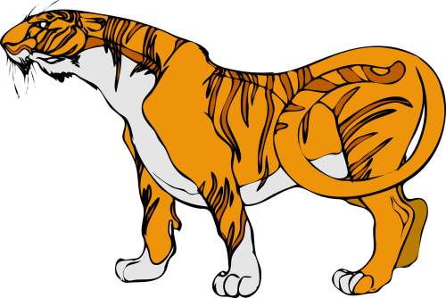 stripes tiger animal