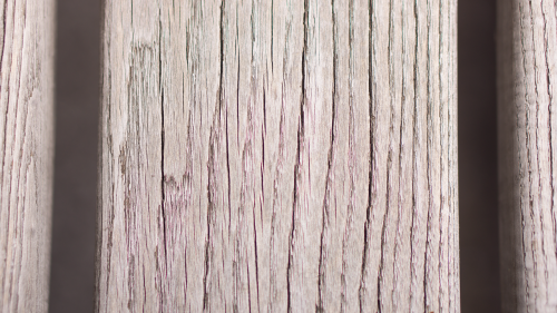 structure wood texture