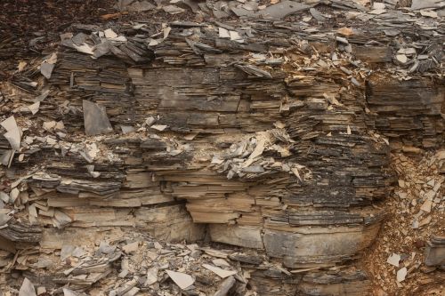 structure texture wood