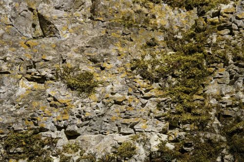 structure limestone rock